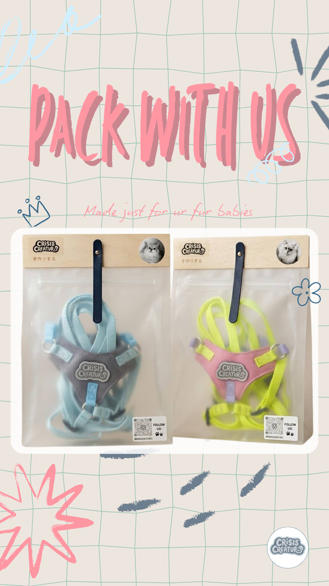 Bubbles and Blossom — the Crisis Creatures cats